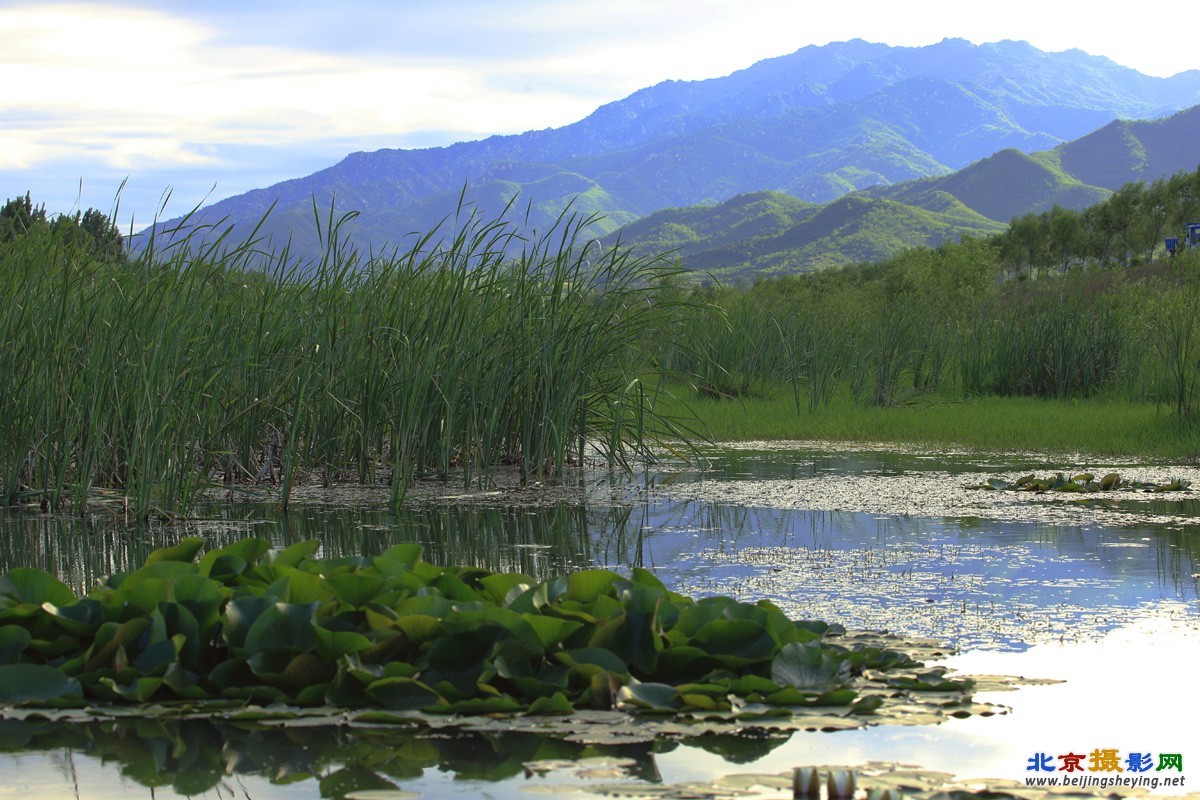 绿水青山.jpg