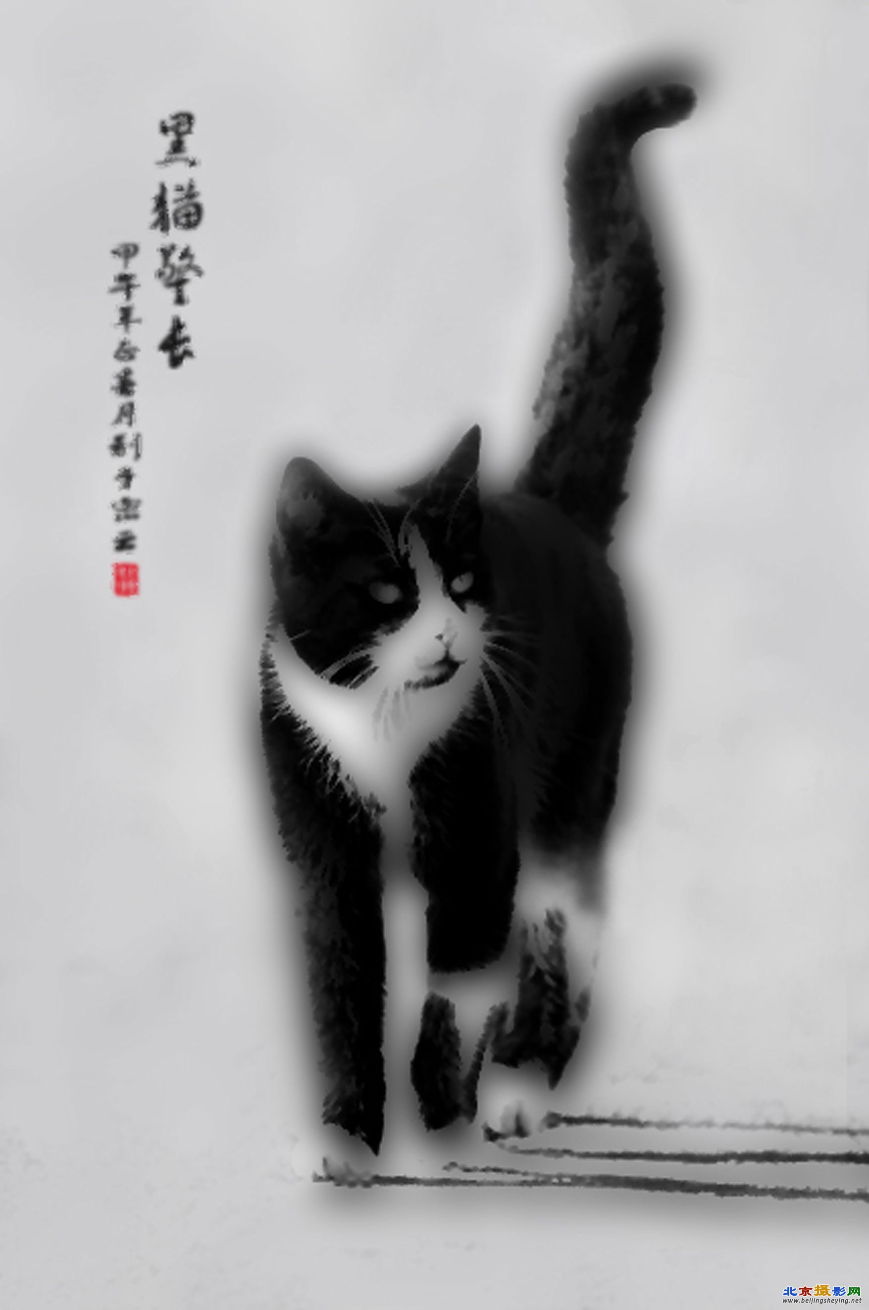 327黑猫警长-.jpg