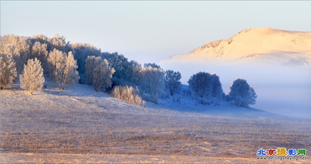 雪域金山.jpg