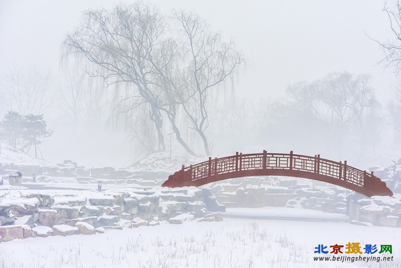 雪后圆明园 圆明园 胖胖妈 李晶 13501238695_副本.jpg