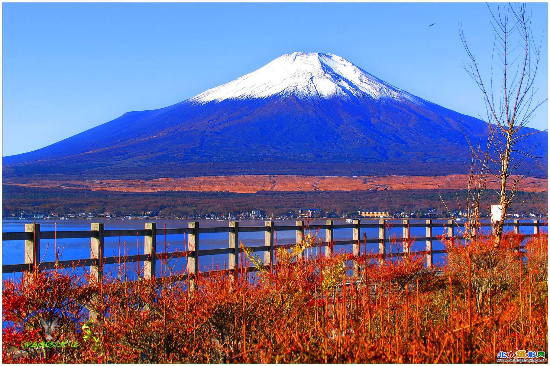 旅游拍富士山3.jpg