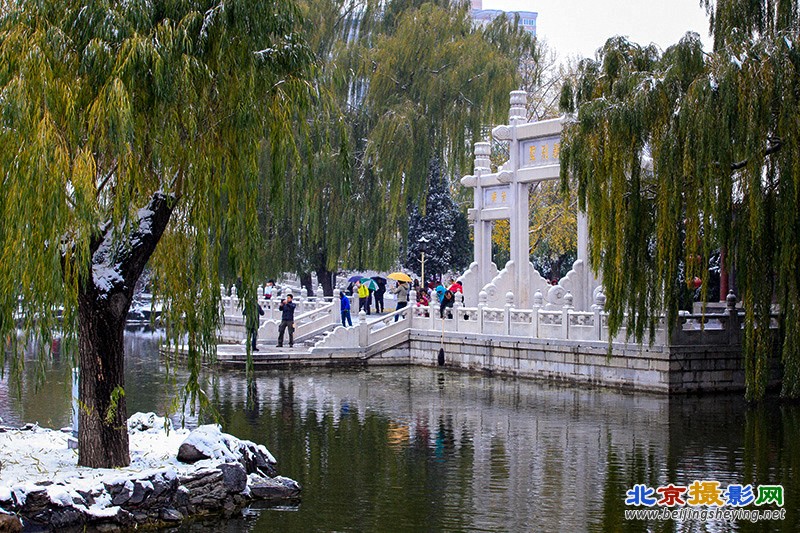 雪。雪。雪，雪中大观园 103.jpg