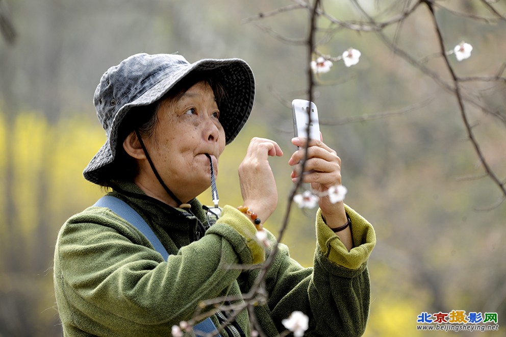 题目：寻美  空山新雨后,天气知来春.人们品生态之美,赏春游之乐,把春景带回家,不忘春.jpg