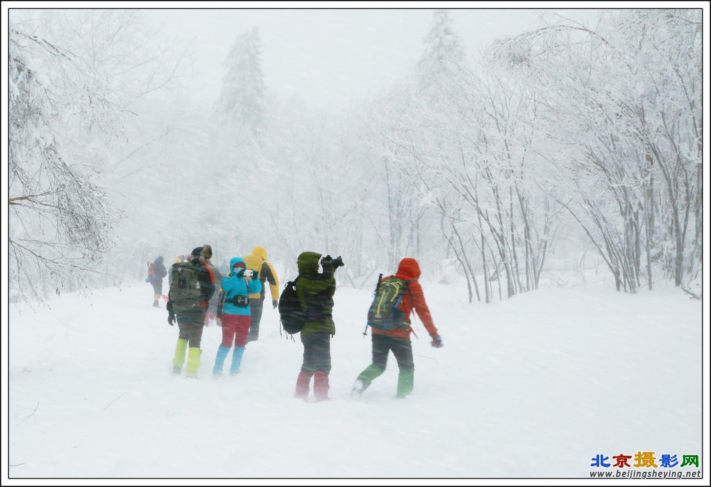 傲雪_副本.JPG