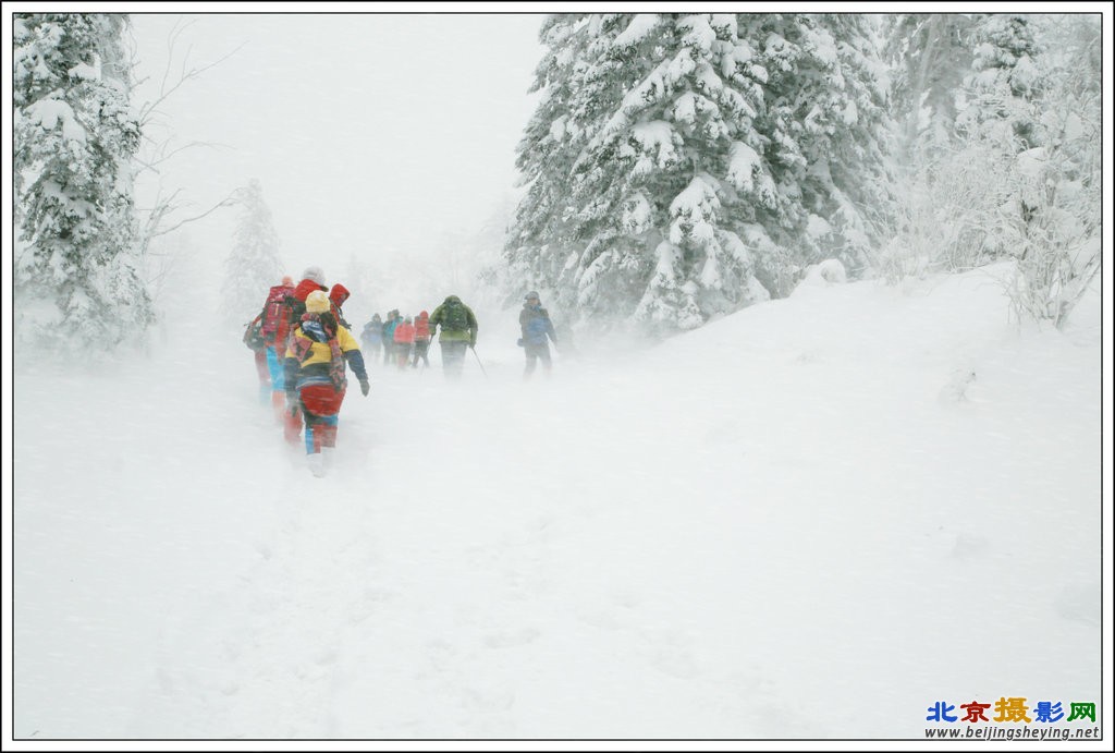 林中浴雪_副本.JPG