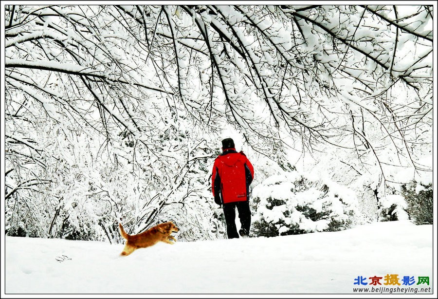 瑞雪小品_副本_副本.JPG