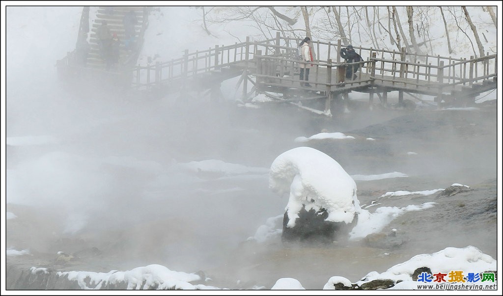 温泉雪熊_副本.JPG