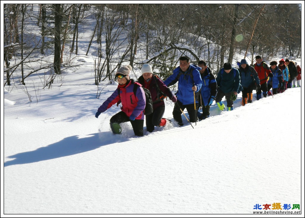 雪地先锋_副本.JPG