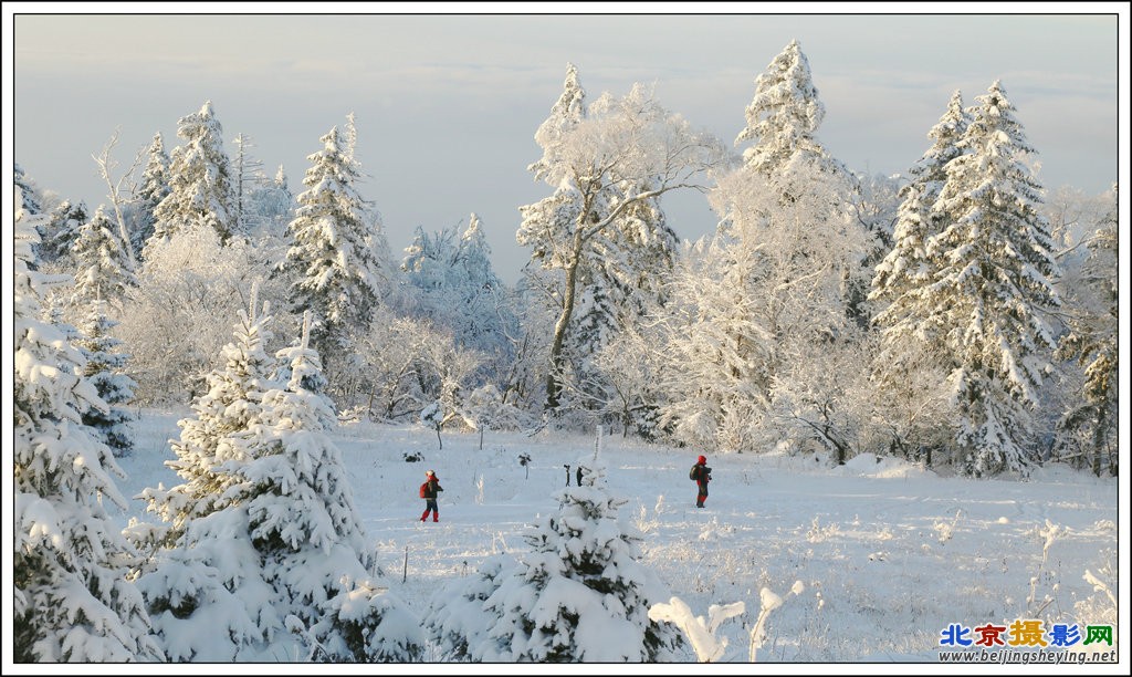 雪巅风情_副本.JPG