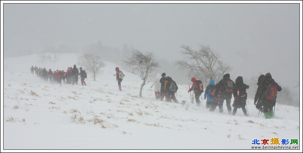 暴风雪中的彩带 .jpg