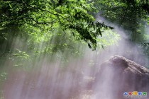 植物园公园《樱桃沟雾景》