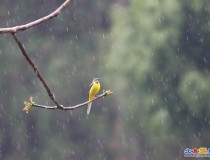 独自风雨中