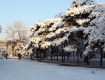 2013.03.20校园雪景