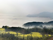 婺源江岭云海