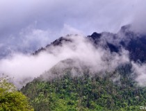 雨后米林