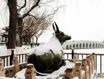 大寒日颐和园拍雪景