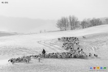 雪后的北国，银装素裹，宛如水墨