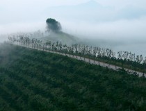 大雾锁南山