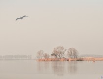 秋色野鸭湖