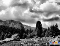 黑白风景 15 天池拾零