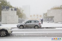 今日雪景