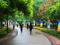 端午节游莲花池公园