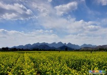 狼牙山油菜园