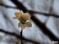 春到颐和园 一切都生机盎然。。。