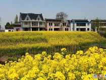 江苏掠影——晨曦、建筑、油菜花