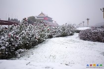 小雪节气的大雪