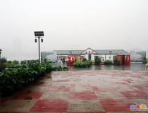 习拍烟雨莲花池公园