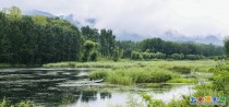 雨后清水河2