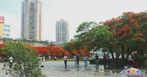 雨后健身