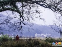 原野山村