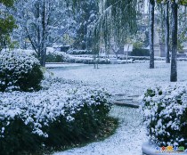 今年的第一场雪