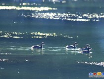 沐浴阳光