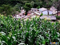 房山区百花山莲花庵村景观