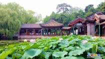 颐和园赏夏景