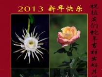 2013.新年快乐。