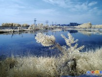 闹市中最后一块原生态湿地