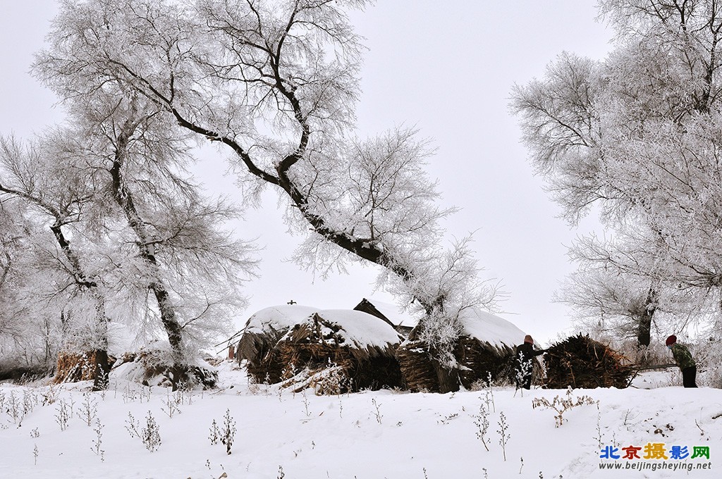 雪村人家.jpg