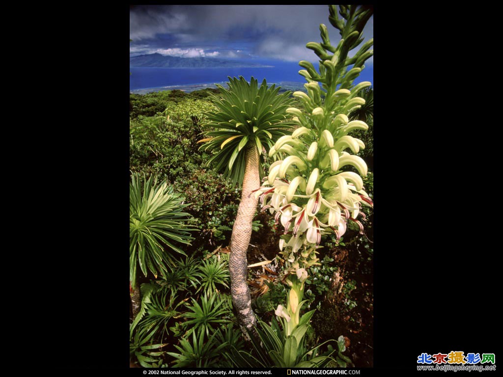 Maui, Hawaii.jpg