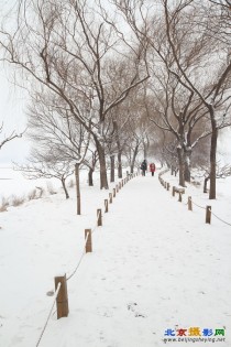 2014年的第一场雪