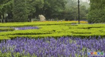 世界花卉大观园外景