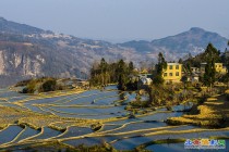 雲南元阳黄草岭梯田