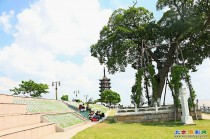 盐官观潮景区