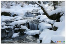 冬雪小溪