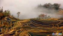 云南梯田风景